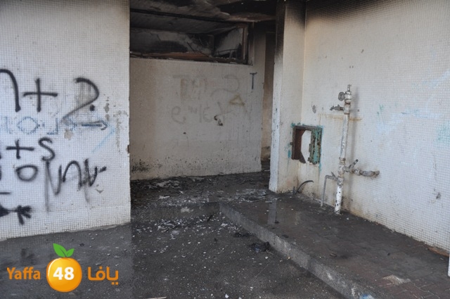 fireshekonatelarab (11).JPG